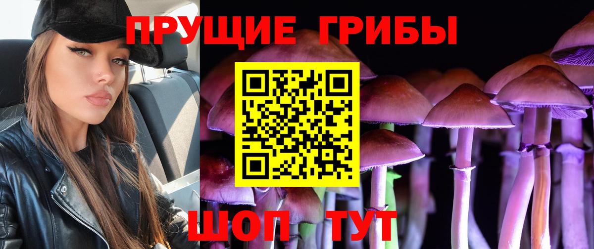 Псилоцибиновые грибы MAGIC MUSHROOMS Углич