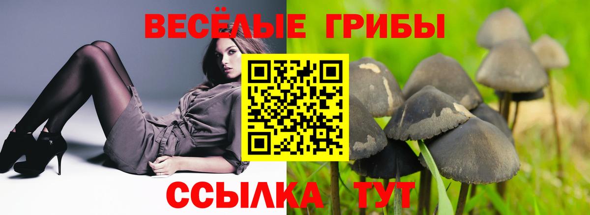 Углич  где найти   Вход с VPN  Псилоцибиновые грибы Magic Shrooms 